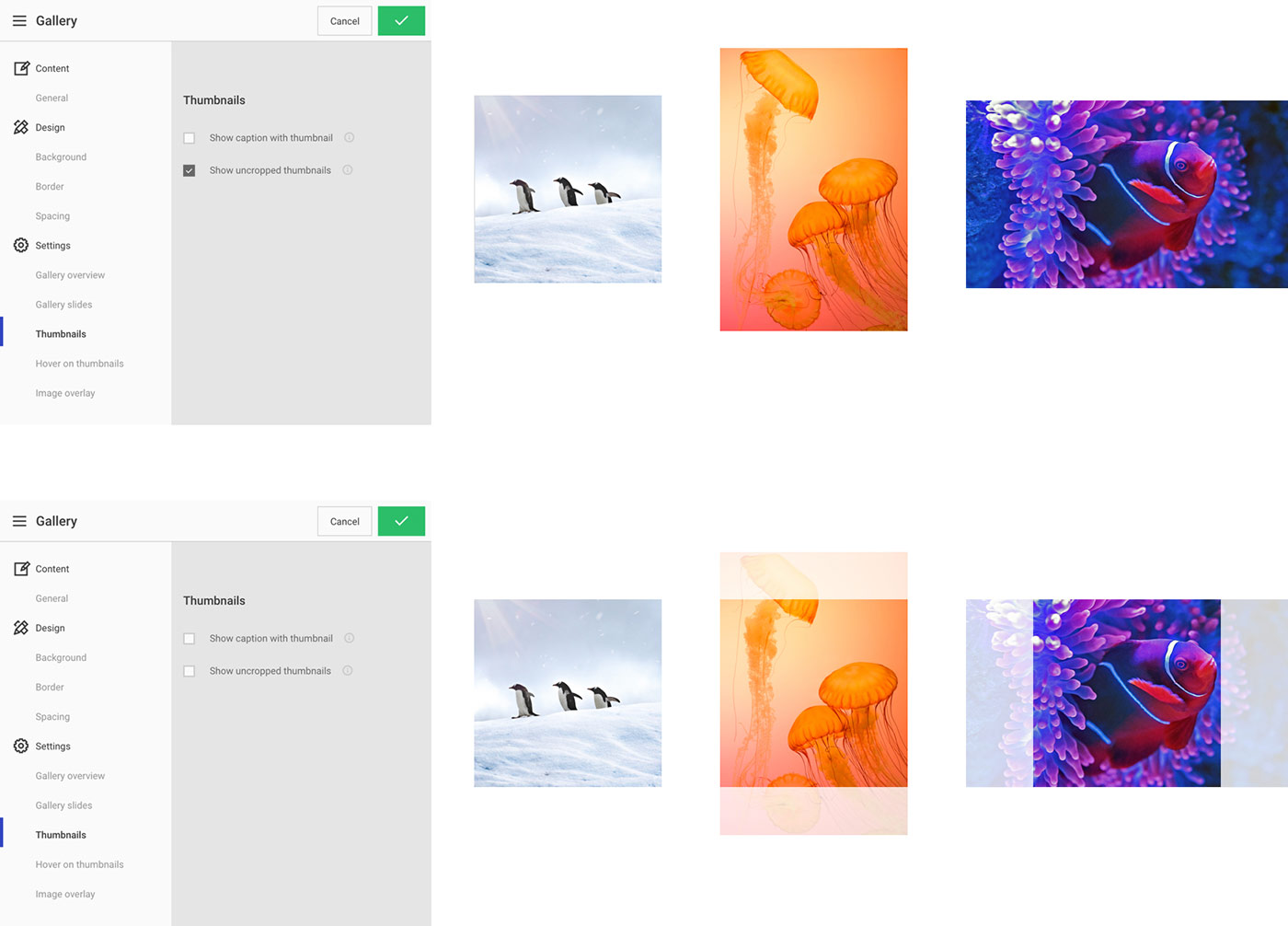 5__thumbnails_p1-3.jpg